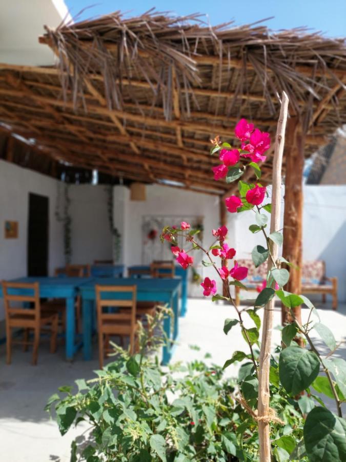 Karibu House Bed and Breakfast Paje Esterno foto